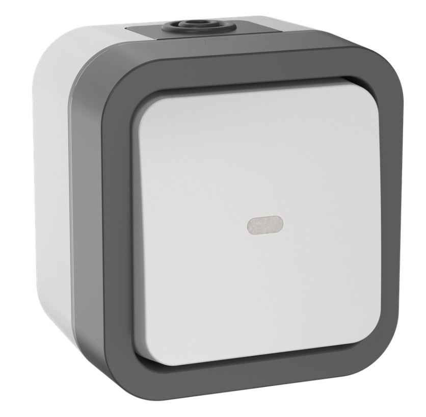 TORS Переключатель 1-клавишный с индикацией TS202 открытой установки 10А IP55 серо-белый (TS-V10-1-10-55-K41)