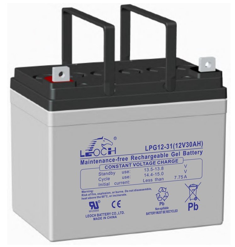 LEOCH LPG12-31