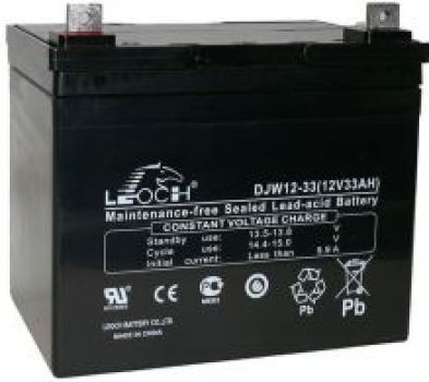 LEOCH DJW12-33
