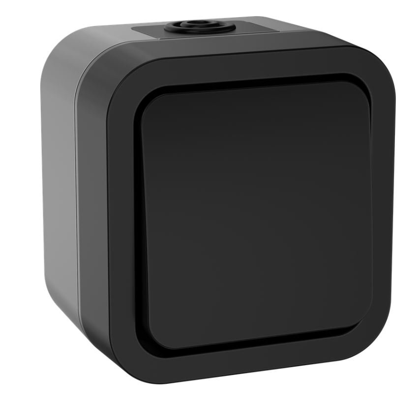 TORS Выключатель 1-клавишный кнопочный TS110 открытой установки 10А IP55 графит (TS-V14-0-10-55-K53)