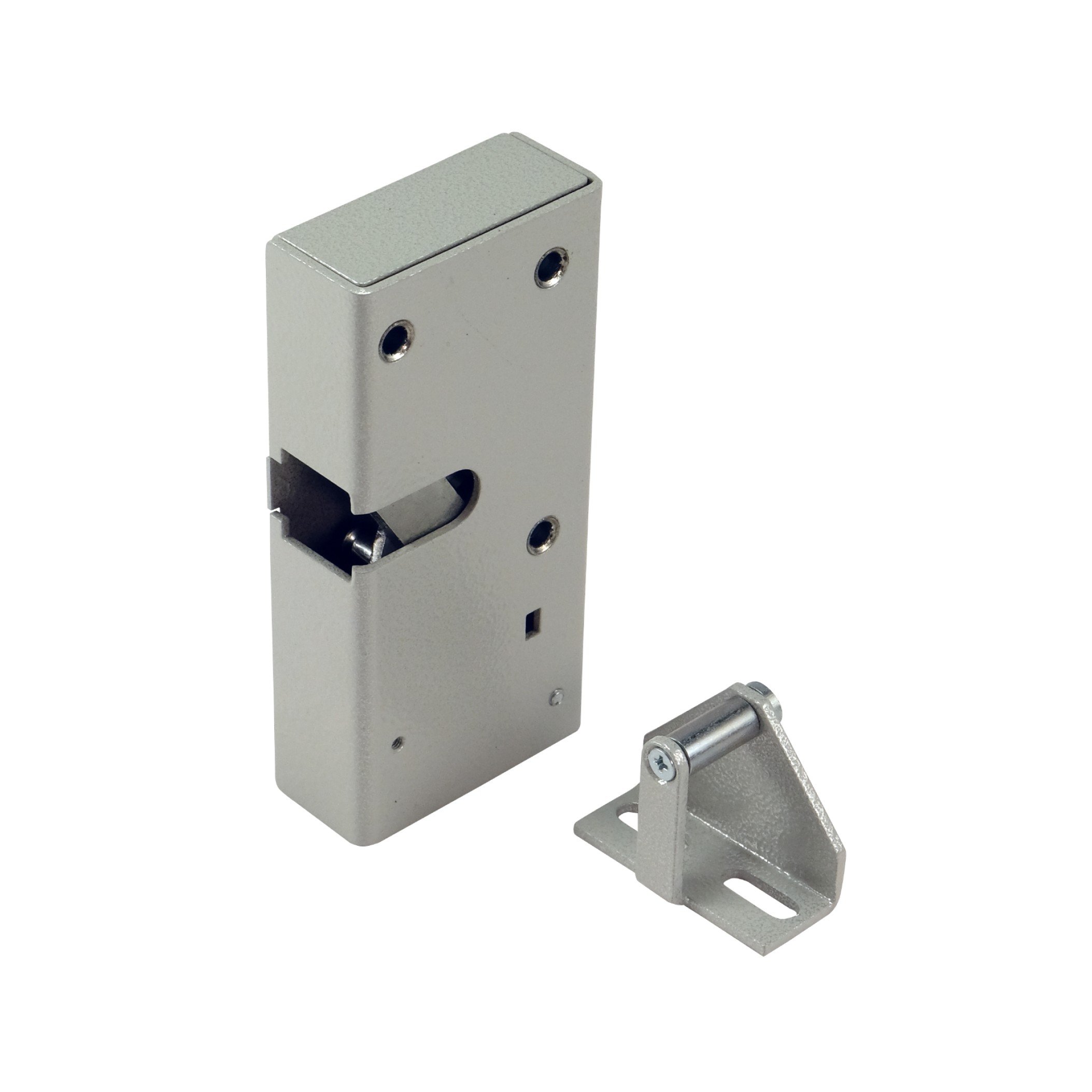 Promix-SM326.10.2-L (silver)