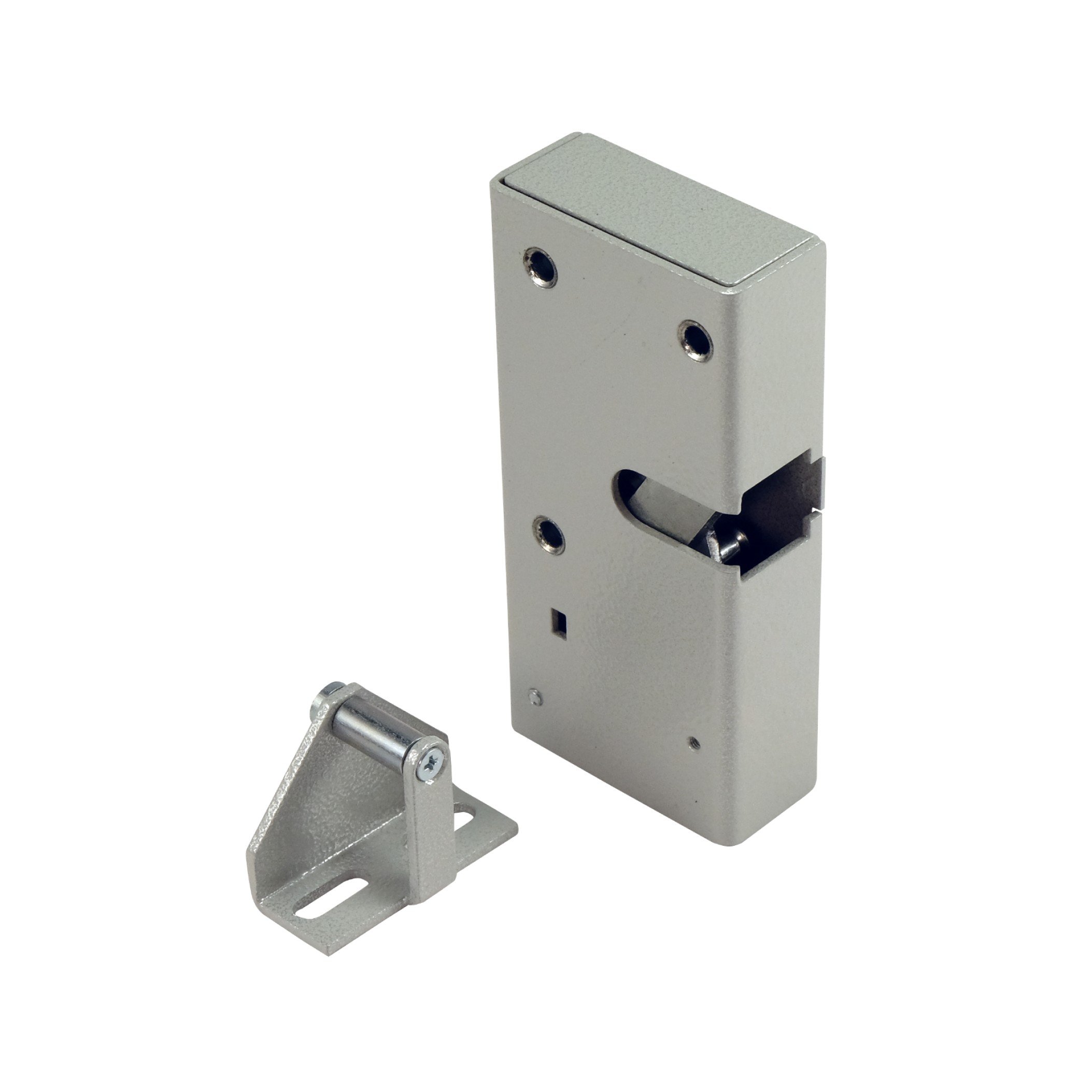 Promix-SM326.10.2-R (silver)
