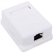 WS-RJ45-8P8C-5e-1P-SH (201-013)