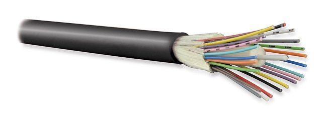 FO-DT-IN/OUT-504-24-LSZH-BK