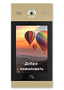 AA-14FB GOLD / Вызывная панель подъездного IP-домофона
