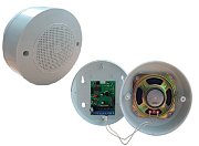Лигард-Раскат / Оповещатель речевой