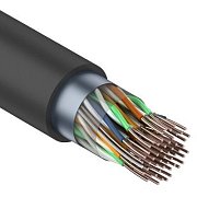 F/UTP, CAT 5, PE, 25PR, 24AWG, OUTDOOR, SOLID, черный, 305м, REXANT (01-1203) / Кабель «витая пара» (LAN) для структурированных систем связи