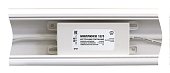 Моллюск 12/3 (866)