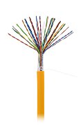 U/UTP 25pair, Cat5, In, LSZH (EC-UU025-5-LSZH-OR-3) / Кабель «витая пара» (LAN) для структурированных систем связи