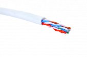 19C-U5-12WT-B305