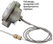 Спектрон-101-Р-Exd-Н-Modbus-ВЭ / Извещатель пожарный тепловой взрывозащищенный