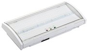 Светильник аварийный ДПА 5040-1 1ч IP54 LIGHTING (LDPA0-5040-1H-K01) / Светильник аварийный постоянного действия