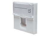 Лицевая панель 1 порт (45х45, Keystone) (10-0301-1)