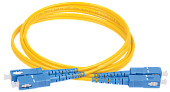 FPC09-SCU-SCU-C2L-10M