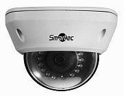 STC-IPM5591/1 / Видеокамера IP купольная