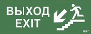 Этикетка самоклеящаяся 350х130мм "Выход/лестница вниз/фигура" (LPC10-1-35-13-VLVNF) / Этикетка самоклеящаяся