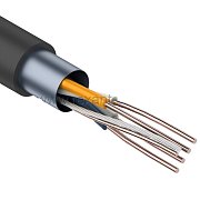F/UTP, CAT 5e, PE, 2PR, 24AWG, OUTDOOR, SOLID, черный, 305м, REXANT (01-0124) / Кабель «витая пара» (LAN) для структурированных систем связи