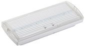 Светильник аварийный ДПА 5032-3 10-24/220В 3ч IP20 LIGHTING (LDPA1-5030-3-20-K01)