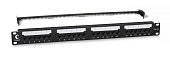 PL2-24-Cat.5e-Dual (10588c)