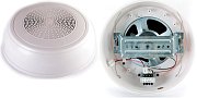 WP-10T / Громкоговоритель потолочный