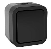 TORS Переключатель 1-клавишный TS101 открытой установки 10А IP55 графит (TS-V10-0-10-55-K53) / Переключатель одноклавишный серии TORS