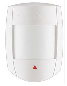 DG55