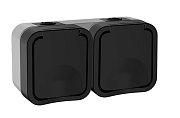 TORS Розетка 2-местная горизонтальная TS122 открытой установки 16А IP55 графит (TS-R26-16-55-G-K53) / Розетка 2-местная горизонтальная серии TORS
