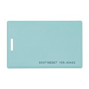IL-05E MINT / Проксимити карта