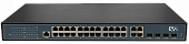 RVi-1NSM24G-4C