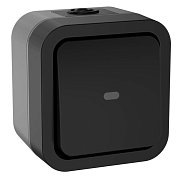 TORS Переключатель 1-клавишный с индикацией TS102 открытой установки 10А IP55 графит (TS-V10-1-10-55-K53) / Переключатель одноклавишный с индикацией серии TORS