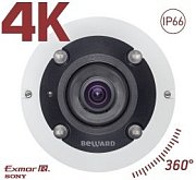 BD3990FLM / Видеокамера IP панорамная