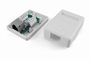 SB1-1-8P8C-C5e-SH-WH / Розетка RJ-45