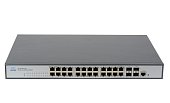 GL-SW-G204-24P