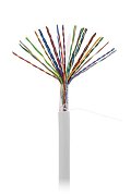 U/UTP 25pair, Cat5, In, PVC (EC-UU025-5-PVC-GY-3) / Кабель «витая пара» (LAN) для структурированных систем связи
