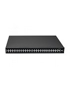 NS-SW-48F2G-P / Коммутатор с PoE