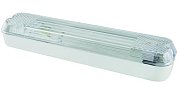 ДПБ 01-2х6-001 12 Вт, LED, 1000 лм, 4000 К, IP40 / Светильник вандалоустойчивый