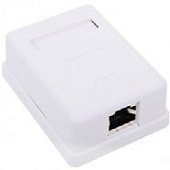 WS-RJ45-8P8C-5e-1P-SH (201-013)