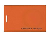 IL-05E ORANGE