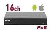 RK1116-P / Видеорегистратор IP 16-канальный
