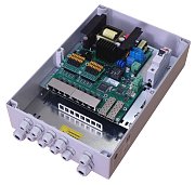 TFortis PSW-2G8F+ / Коммутатор для подключения 8 камер