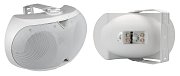 ELLIPSE-2440TW / Громкоговоритель настенный