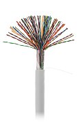 U/UTP 50pair, Cat5, In, PVC (EC-UU050-5-PVC-GY-3) / Кабель «витая пара» (LAN) для структурированных систем связи