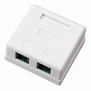 Розетка компьютерная внешняя 2-порта, UTP RJ-45 (8P8C), CAT 5e REXANT (03-0151) / Розетка RJ-45
