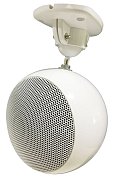 SPACE-10TW / Громкоговоритель корпусный