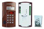 Цифрал ССД-20/PVC / Вызывная панель цветная